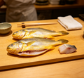 Fresh Yellow Croaker Fish - Premium Quality, Ocean-to-Table